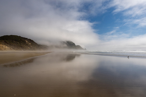 Pacific NW 2023
