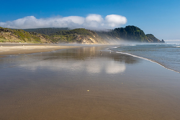 Pacific NW 2023