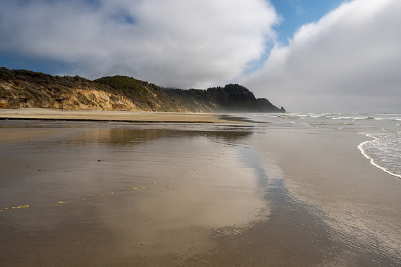 Pacific NW 2023