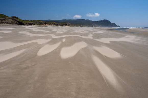 Pacific NW 2023