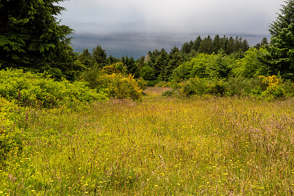 Pacific NW 2023