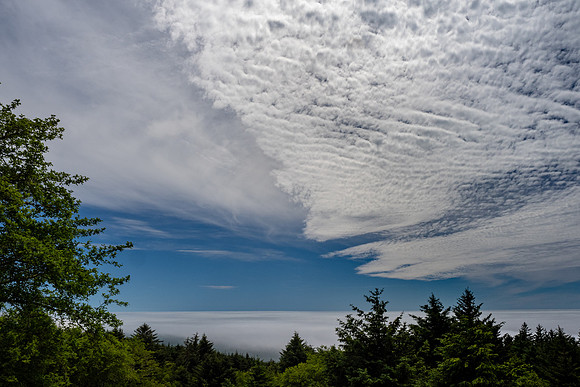 Pacific NW 2023