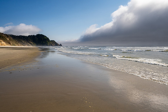 Pacific NW 2023
