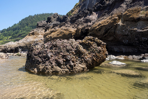 Pacific NW 2023