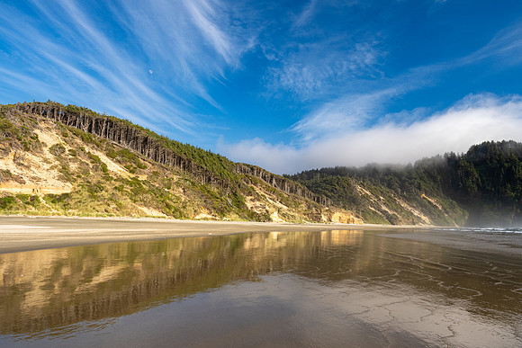 Pacific NW 2023