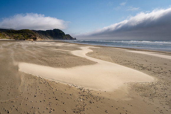 Pacific NW 2023