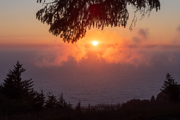 Pacific NW 2023