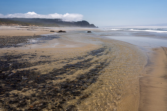 Pacific NW 2023