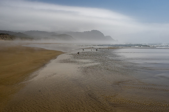 Pacific NW 2023