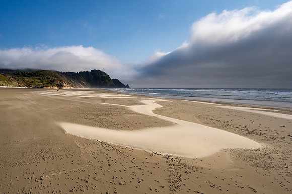 Pacific NW 2023