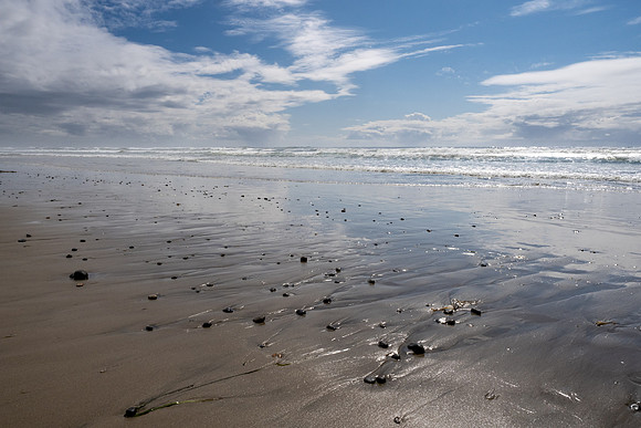 Pacific NW 2023