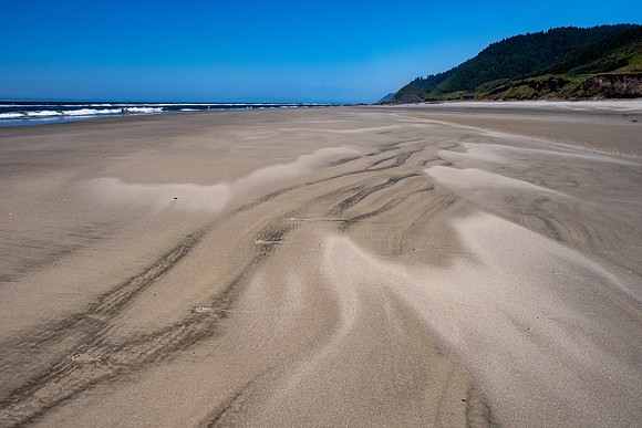 Pacific NW 2023