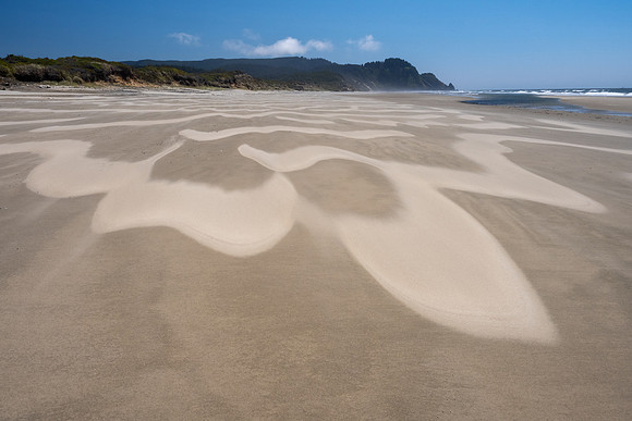 Pacific NW 2023