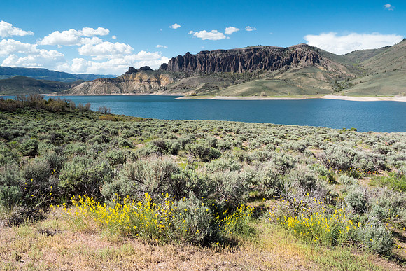 Colorado 2016 - Gunnison River (P5317603)