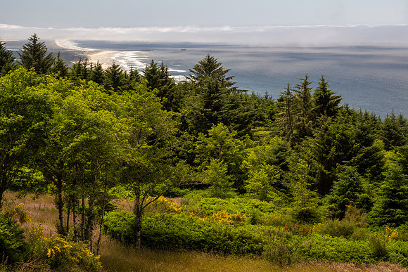 Pacific NW 2023