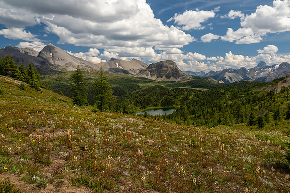 Banff National Park 2025