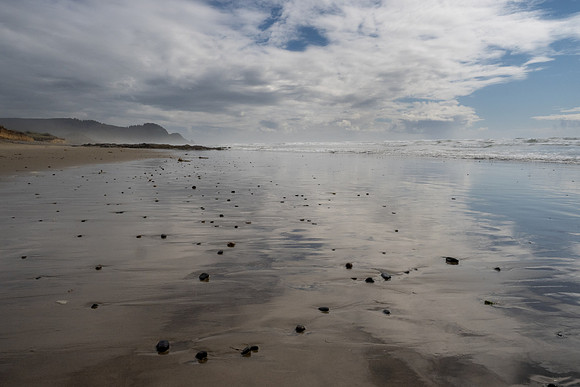 Pacific NW 2023