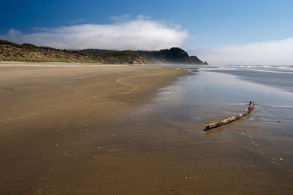 Pacific NW 2023