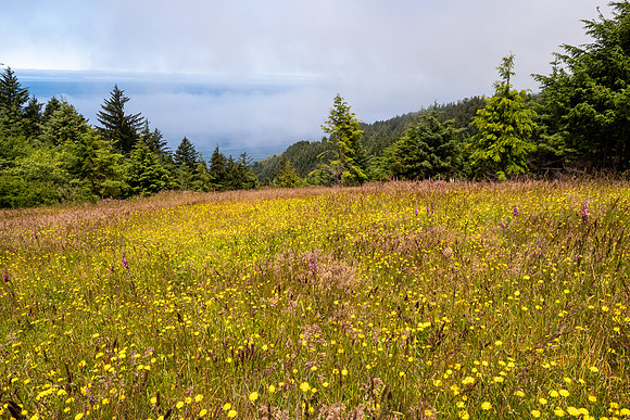 Pacific NW 2023