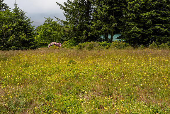 Pacific NW 2023