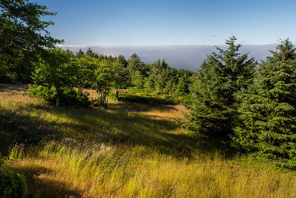 Pacific NW 2023