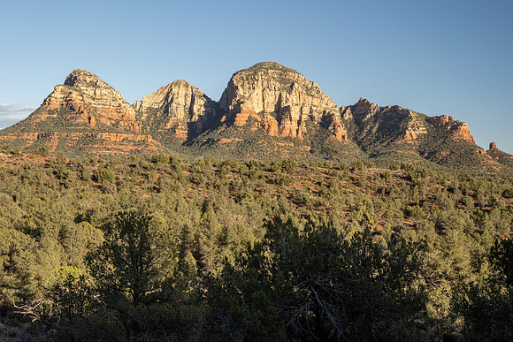 Arizona 2021
