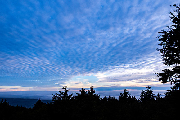 Pacific NW 2023
