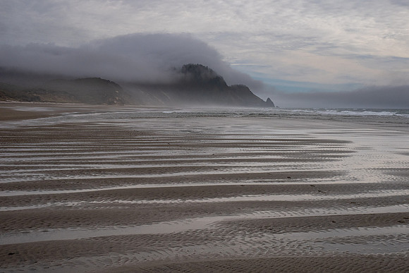 Pacific NW 2023