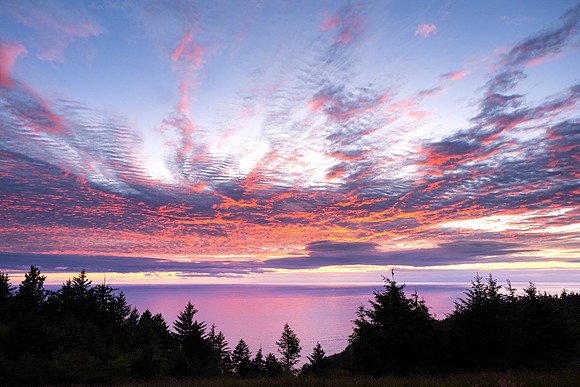 Pacific NW 2023