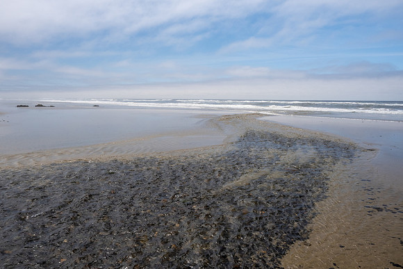 Pacific NW 2023