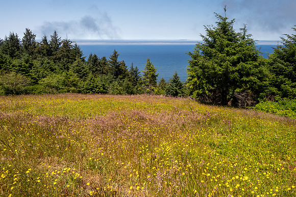 Pacific NW 2023