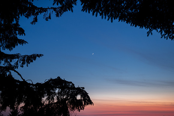 Pacific NW 2023