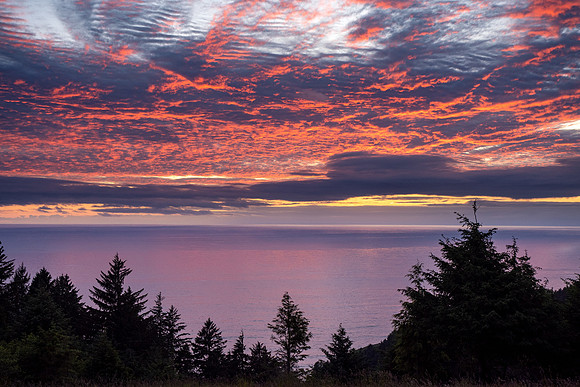 Pacific NW 2023