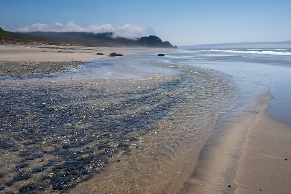Pacific NW 2023