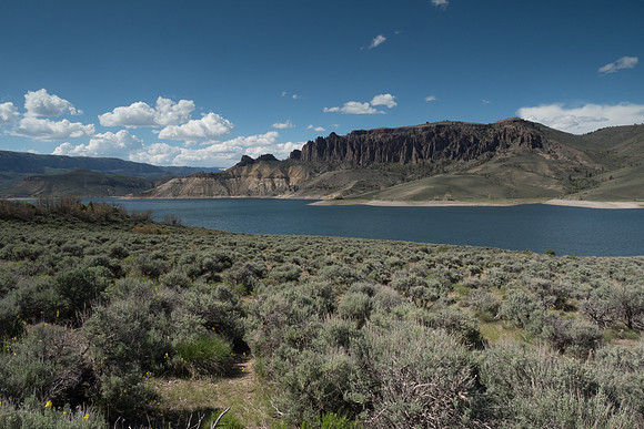 Colorado 2016 - Gunnison River (P5317600)