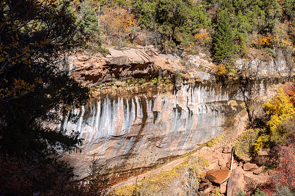 Zion National Park 2024