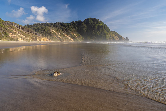 Pacific NW 2023