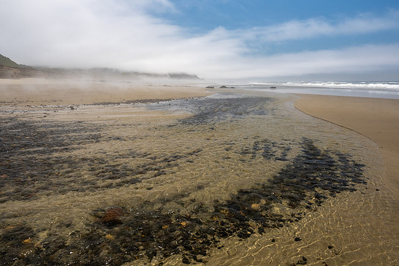 Pacific NW 2023