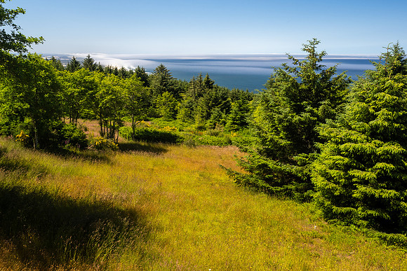 Pacific NW 2023