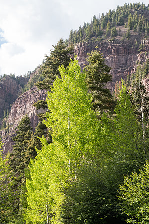 Colorado 2016 - Ouray (P6017823)