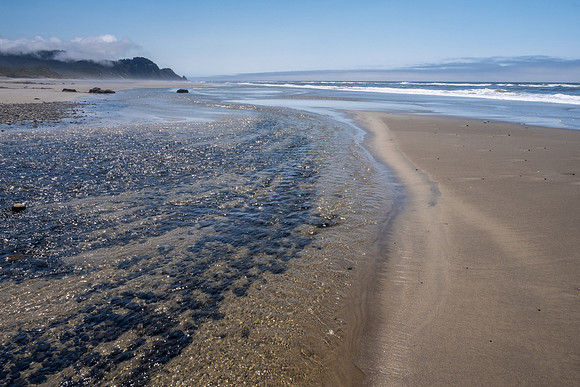Pacific NW 2023
