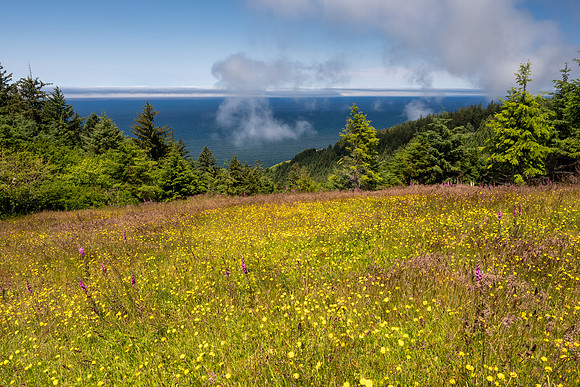 Pacific NW 2023