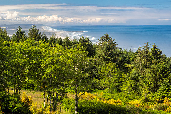 Pacific NW 2023