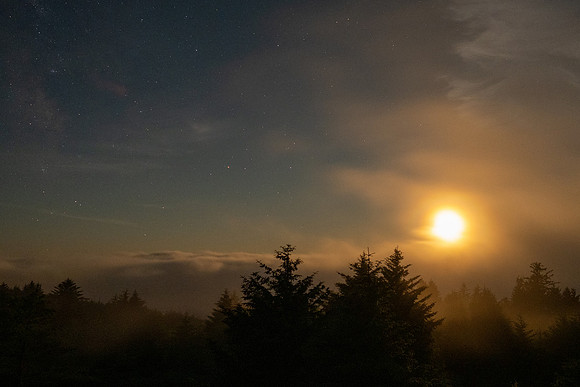 Pacific NW 2023