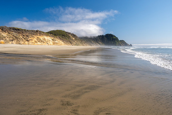 Pacific NW 2023