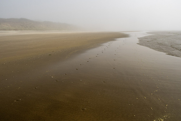 Pacific NW 2023