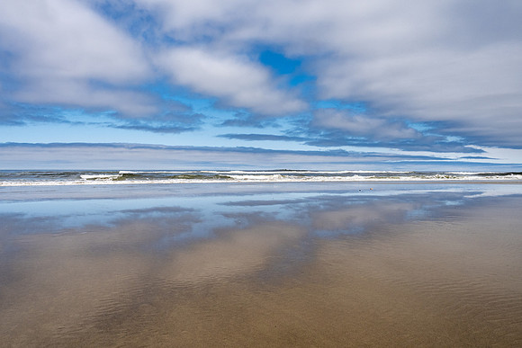 Pacific NW 2023