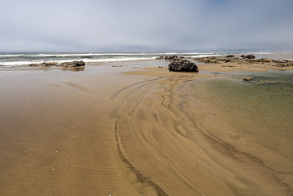 Pacific NW 2023