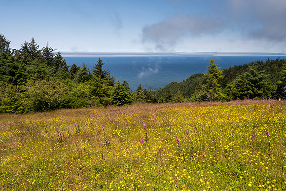Pacific NW 2023