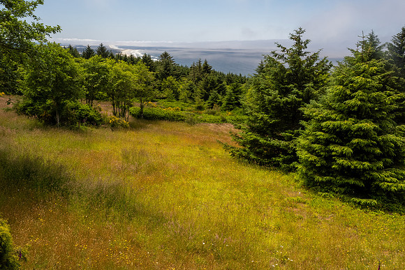 Pacific NW 2023